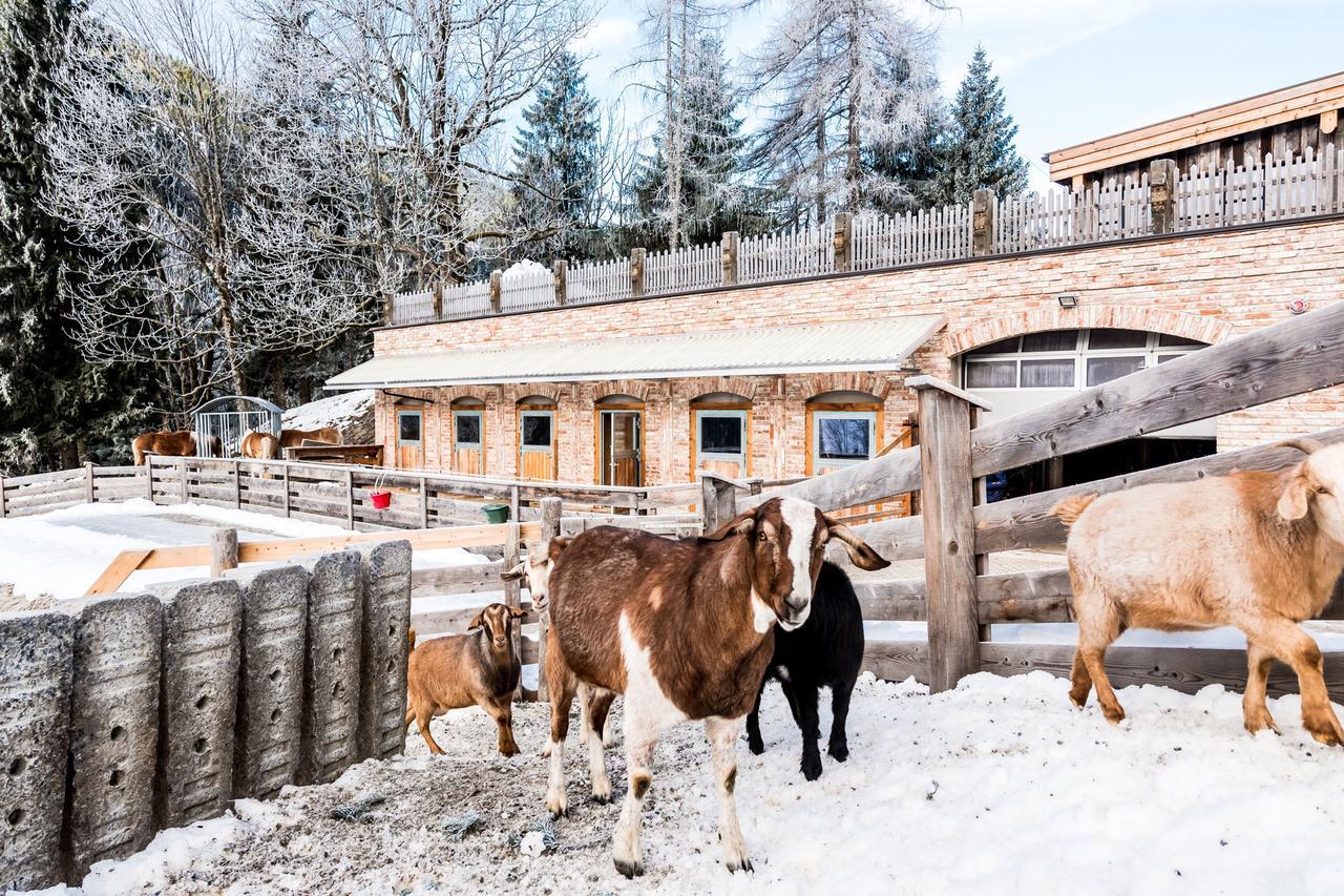 Vila Peakini Farmhaus Untertauern Exteriér fotografie